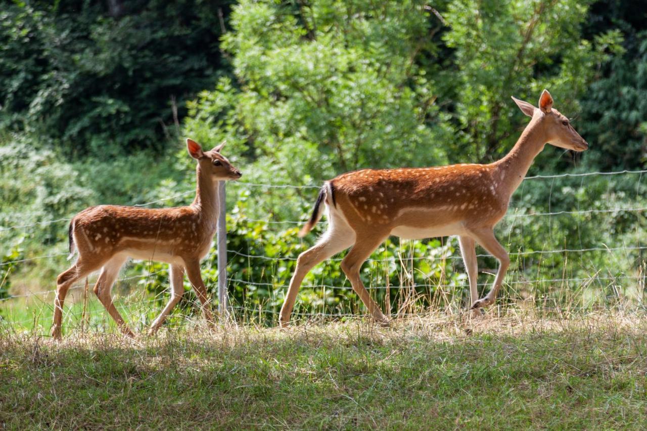 Bergwerksilo Herznach Zewnętrze zdjęcie